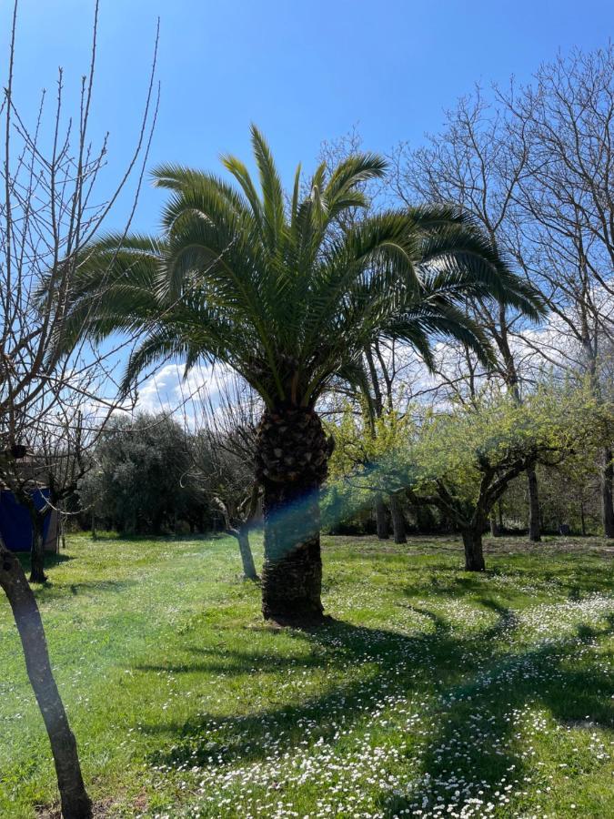 B&B Casal Pereto Valmontone Exterior foto