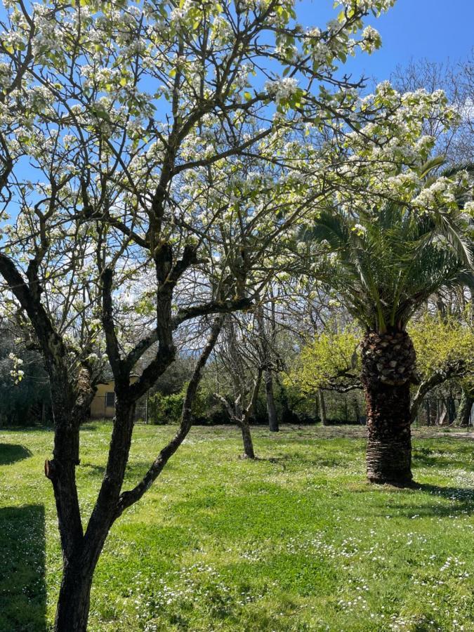 B&B Casal Pereto Valmontone Exterior foto
